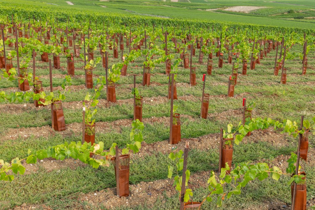 sédiments - accompagnement et conseil par Labo QUALYSE