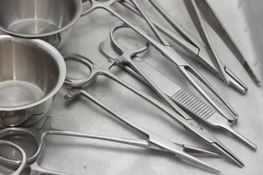 Autopsie et examen post mortem animaux de compagnie par QUALYSE