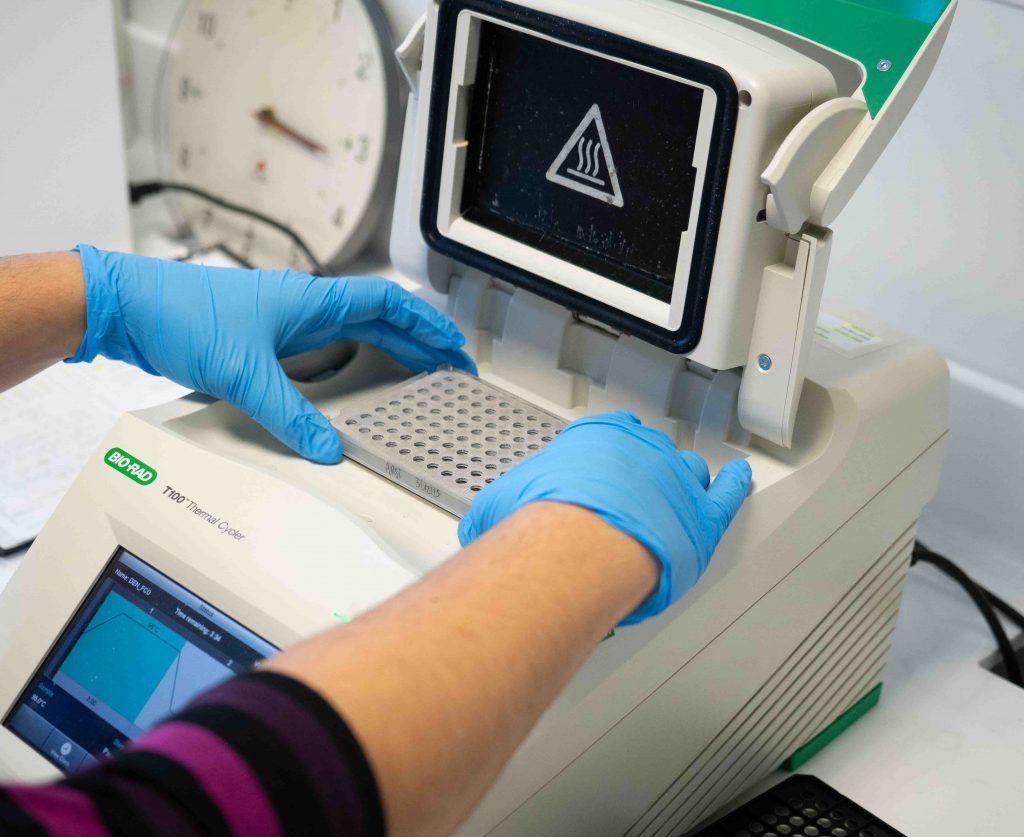 Détection des parasites dans les coquillages - santé des coquillages par laboratoire QUALYSE