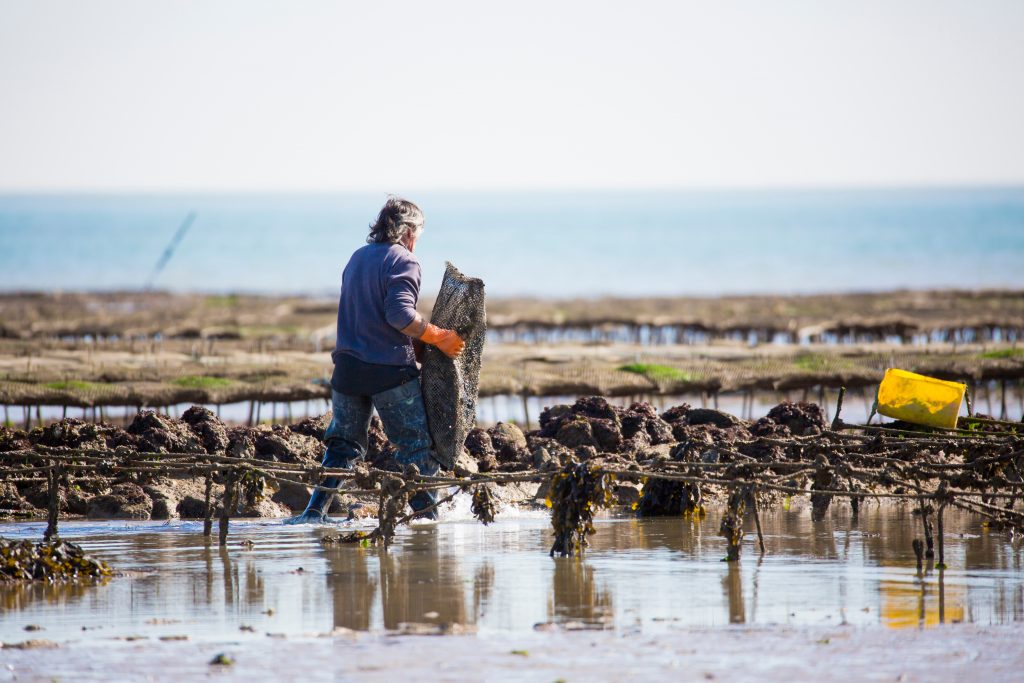 Ostréiculteur littoral monde de la mer Qualyse