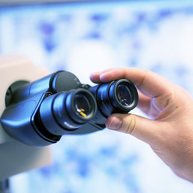 Analyses parasitologie et dépistages maladies animaux de compagnie par Labo QUALYSE