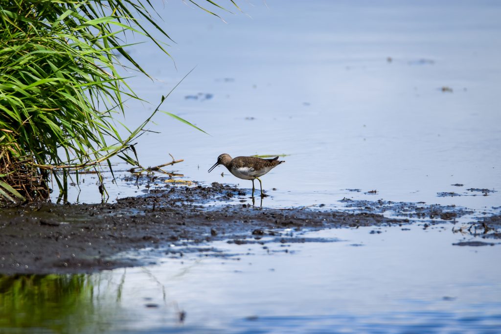 Expertise qualité des eaux naturelles du sol et océan QUALYSE header