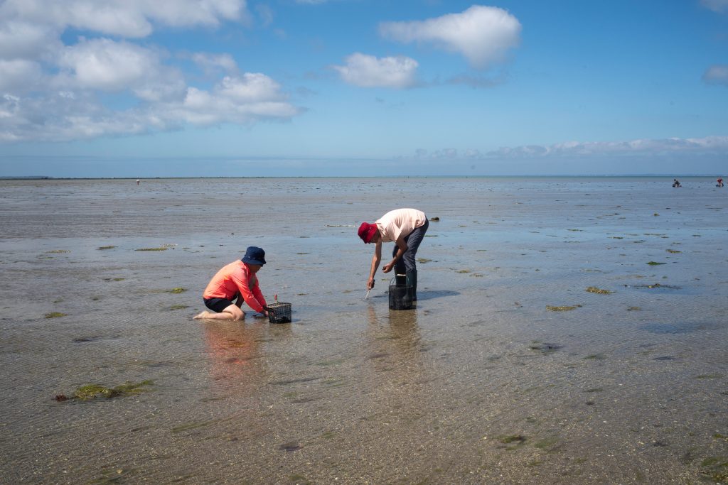 Expertise Chimie CONCHYLICULTURE Header