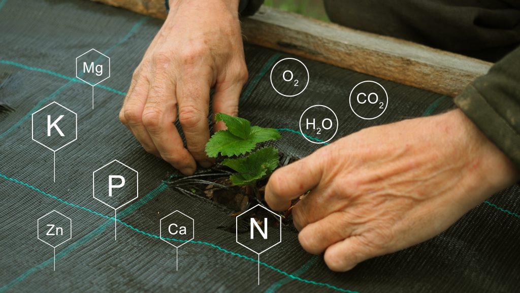 Expertise analyses matières fertilisantes QUALYSE header