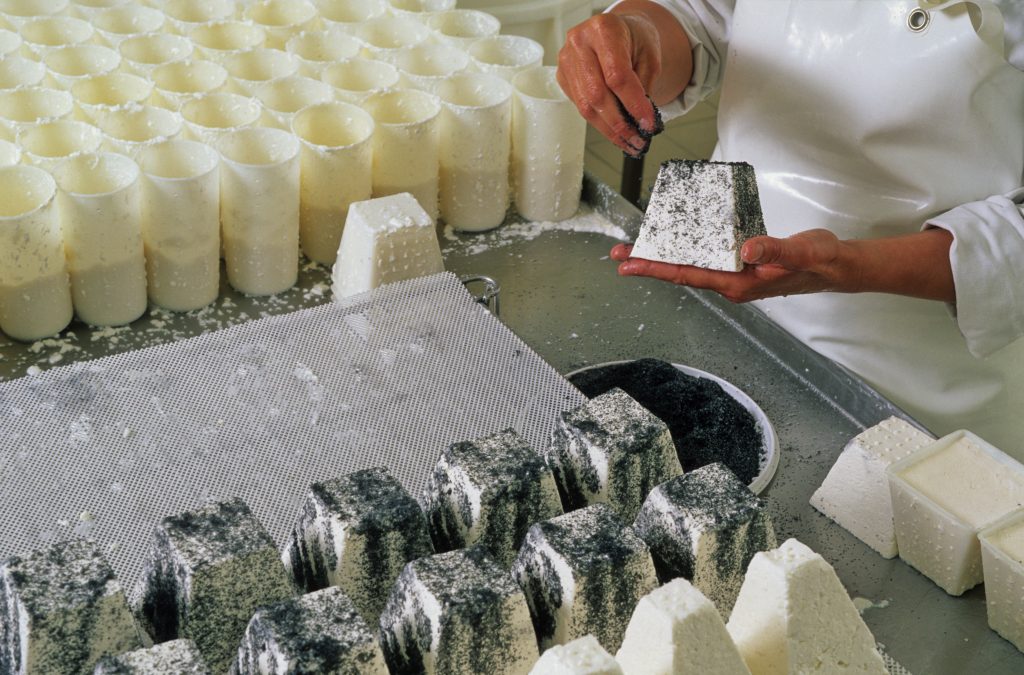 Fabrication fromage de chèvre transformateur agro alimentaire