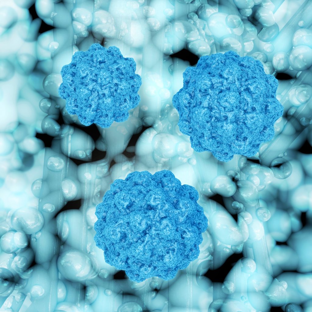 analyse virus alimentaire norovirus en microbiologie conchylicuture monde de la mer par laboratoire QUALYSE