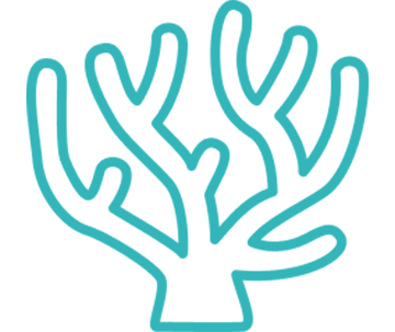 Milieu marin QUALYSE