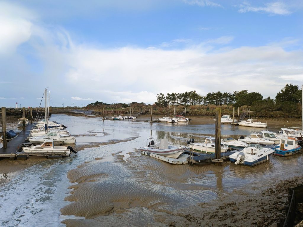 Expertise analyse des sédiments et boues par QUALYSE