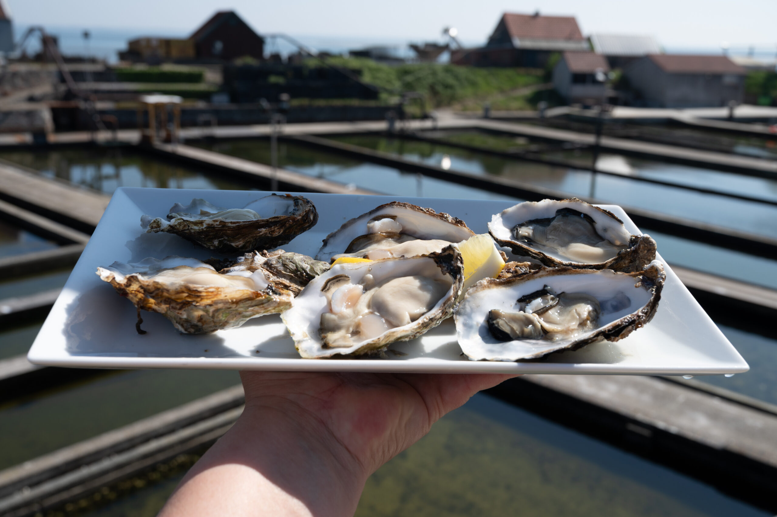 AdobeStock 1541122159