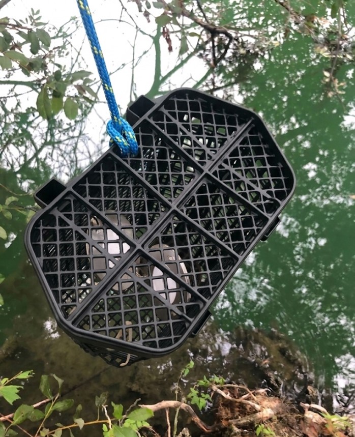 Echantillonneur passif 1